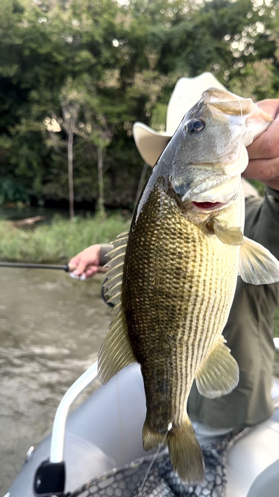 Angler casting on a Texas river