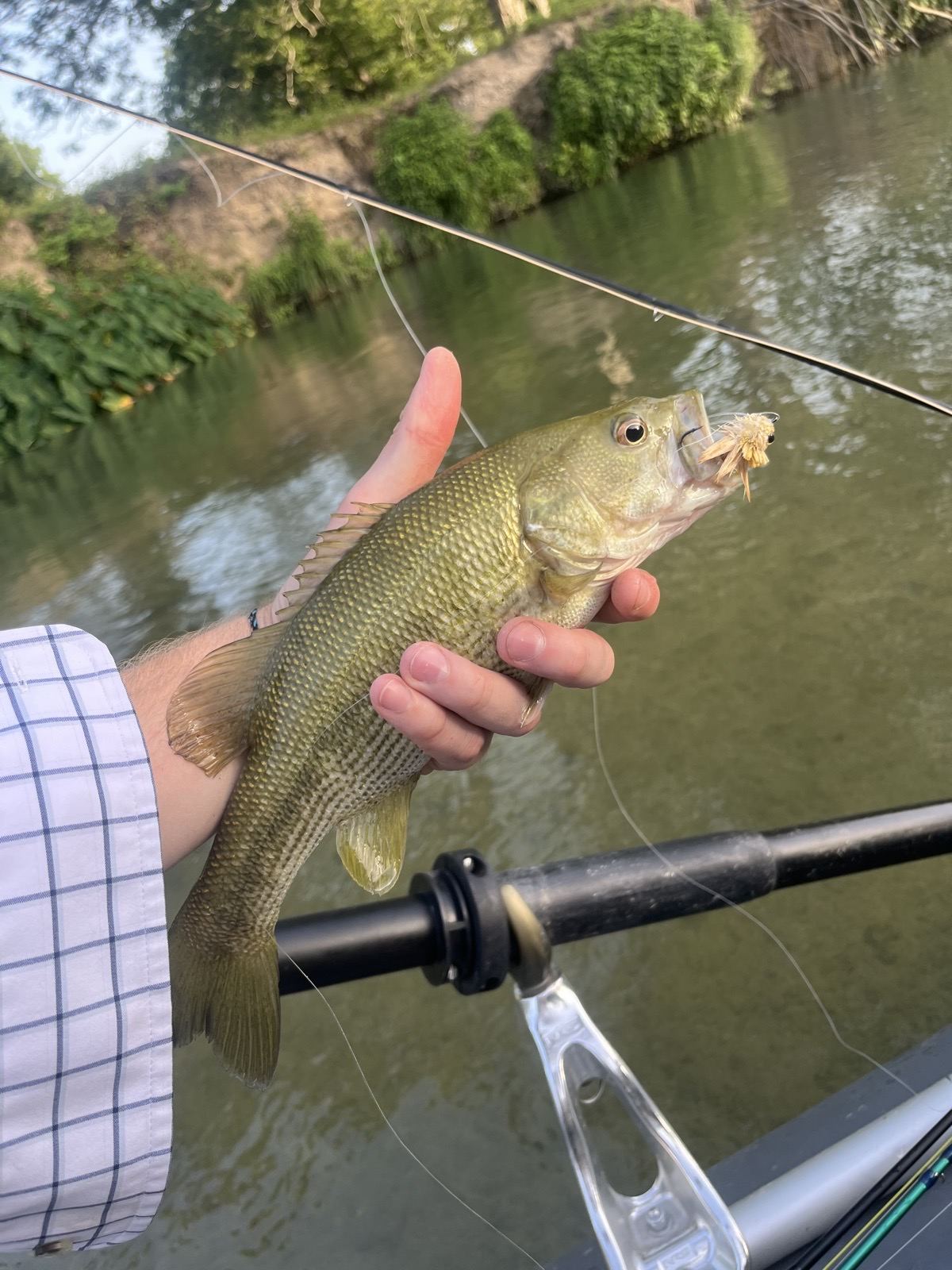 Guide fishing a Hill Country river